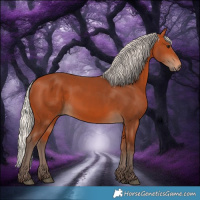 Horse Color:Silver Bay 