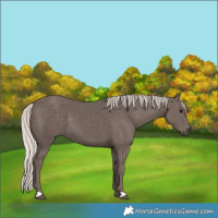 Horse Color:Silver Black 