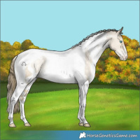 Horse Color:White Spotted Buckskin Pearl Dun Tobiano Appaloosa Rabicano 
