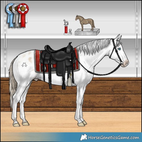 Horse Color:White Spotted Smoky Grullo Pearl Appaloosa Rabicano 
