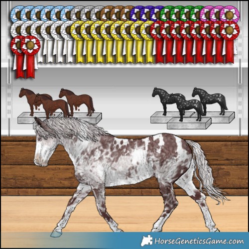 Horse Color:White Spotted Chocolate Silver Smoky Black Chinchilla Ice