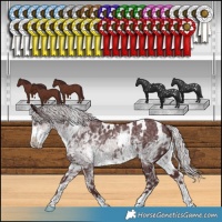 Horse Color:White Spotted Chocolate Silver Smoky Black Chinchilla Ice 