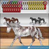 Horse Color:White Spotted Chocolate Silver Smoky Black Chinchilla Ice 