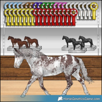 Horse Color:White Spotted Chocolate Silver Smoky Black Chinchilla Ice 