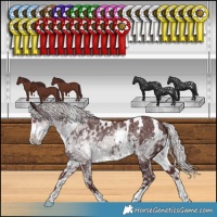 Horse Color:White Spotted Chocolate Silver Smoky Black Chinchilla Ice 