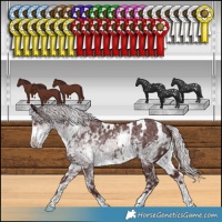 Horse Color:White Spotted Chocolate Silver Smoky Black Chinchilla Ice 