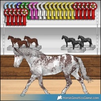 Horse Color:White Spotted Chocolate Silver Smoky Black Chinchilla Ice