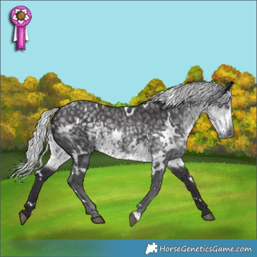 Horse Color:White Spotted Silver Smoky Black Chinchilla Rabicano 