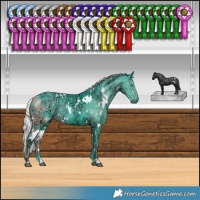 Horse Color:Watercolor White Spotted Silver Smoky Black Chinchilla Ice 