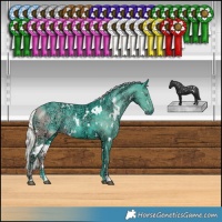Horse Color:Watercolor White Spotted Silver Smoky Black Chinchilla Ice 