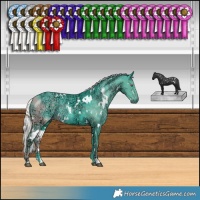 Horse Color:Watercolor White Spotted Silver Smoky Black Chinchilla Ice