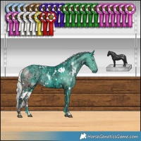 Horse Color:Watercolor White Spotted Silver Smoky Black Chinchilla Ice