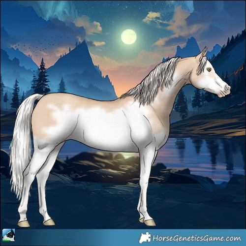 Horse Color:Silver Classic Champagne Dun Splash Frame 