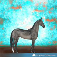 Horse Color:Grullo Sabino Rabicano Brindle 