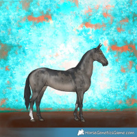 Horse Color:Grullo Sabino Rabicano Brindle