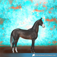 Horse Color:Brown Sabino Rabicano 
