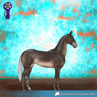 Horse Color:Silver Brown Sabino Rabicano 