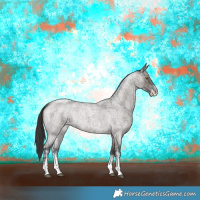 Horse Color:Smoky Grullo Roan Sabino Rabicano 