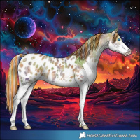 Horse Color:Painted Nacre White Spotted Silver Brown Ice Dun Splash Blanket 
