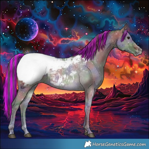Horse Color:Painted Nacre Bay Ice Appaloosa