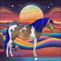 Horse Color:Painted Buckskin Tobiano