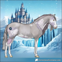 Horse Color:Watercolor Palomino Ice  and Watercolor Smoky Black Pearl Splash 
