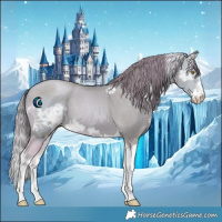 Horse Color:Watercolor Palomino Ice  and Watercolor Smoky Black Pearl Splash 