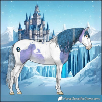 Horse Color:Watercolor Buckskin Splash Tobiano 