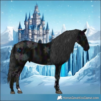 Horse Color:Midnight Black Ice 