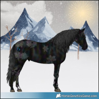 Horse Color:Midnight Black Ice 