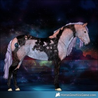 Horse Color:Void Painted Watercolor Chocolate Palomino Tobiano 