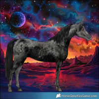 Horse Color:ERROR: UNKNOWN ANOMALY