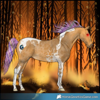 Horse Color:Painted Silver Buckskin Tobiano 