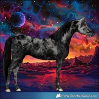 Horse Color:ERROR: UNKNOWN ANOMALY