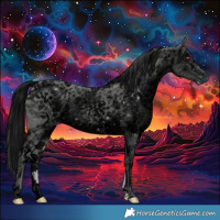 Horse Color:ERROR: UNKNOWN ANOMALY