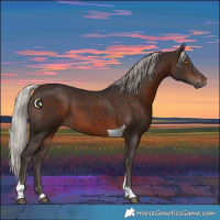 Horse Color:Silver Brown Tobiano 