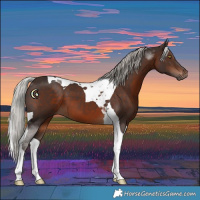Horse Color:Silver Brown Tobiano 