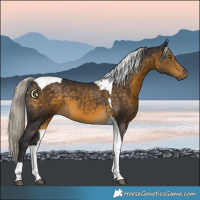 Horse Color:Silver Buckskin Tobiano 