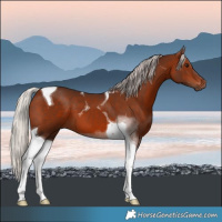 Horse Color:Silver Bay Tobiano