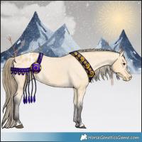Horse Color:Buckskin Blanket 