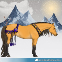 Horse Color:Buckskin 