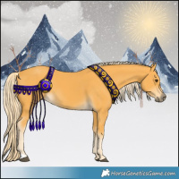 Horse Color:Palomino