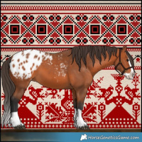 Horse Color:Bay Splash Appaloosa 