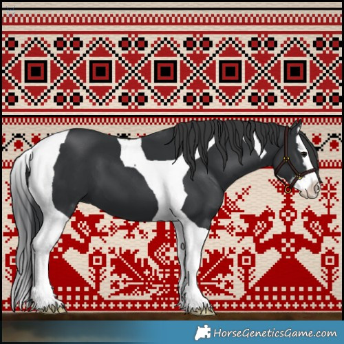 Horse Color:Black Splash Tobiano 