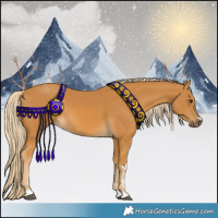 Horse Color:Palomino