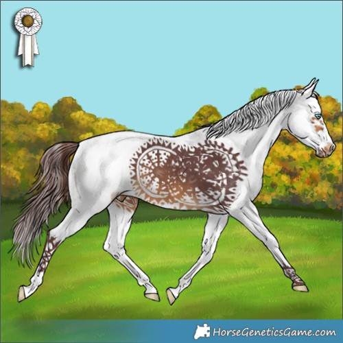 Horse Color:White Spotted Chocolate Buckskin Splash Frame 