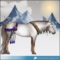 Horse Color:Gray Chestnut 