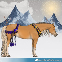 Horse Color:Palomino