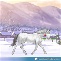 Horse Color:Liver Chestnut Sabino Splash Snowflake Varnish