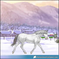 Horse Color:Liver Chestnut Sabino Splash Snowflake Varnish 